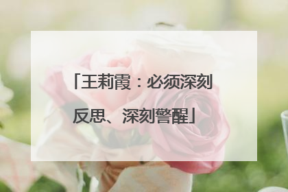 王莉霞：必须深刻反思、深刻警醒