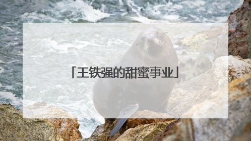 王铁强的甜蜜事业