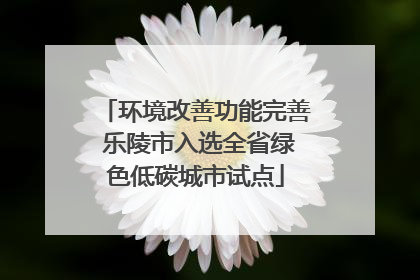 环境改善功能完善 乐陵市入选全省绿色低碳城市试点
