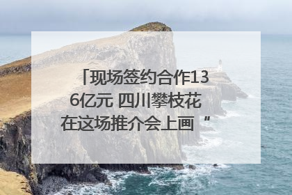现场签约合作136亿元 四川攀枝花在这场推介会上画“图谱”列“清单”