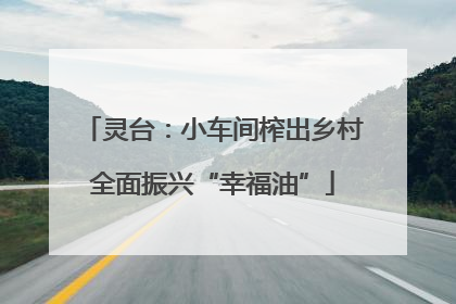 灵台：小车间榨出乡村全面振兴“幸福油”