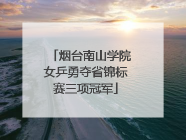 烟台南山学院女乒勇夺省锦标赛三项冠军