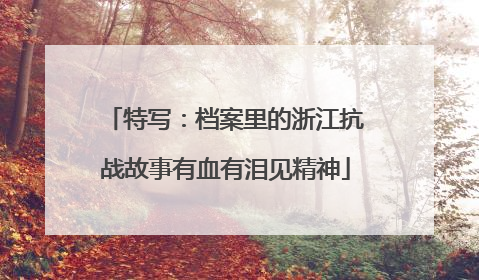特写：档案里的浙江抗战故事有血有泪见精神