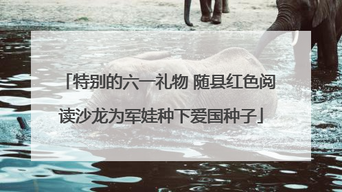 特别的六一礼物 随县红色阅读沙龙为军娃种下爱国种子