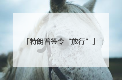 特朗普签令“放行”