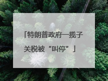 特朗普政府一揽子关税被“叫停”