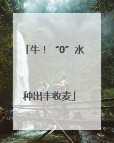 牛！“0”水种出丰收麦
