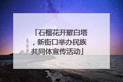 石榴花开耀白塔，新街口举办民族共同体宣传活动
