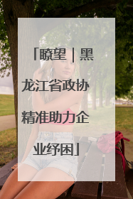 瞭望｜黑龙江省政协精准助力企业纾困