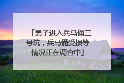 男子进入兵马俑三号坑，兵马俑受损等情况正在调查中