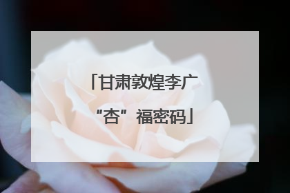 甘肃敦煌李广“杏”福密码