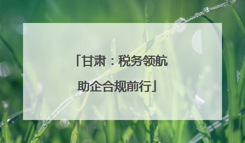 甘肃：税务领航 助企合规前行