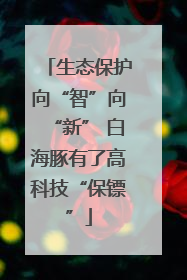 生态保护向“智”向“新” 白海豚有了高科技“保镖”