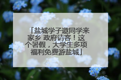 盐城学子邀同学来家乡 政府请客！这个暑假，大学生多项福利免费游盐城