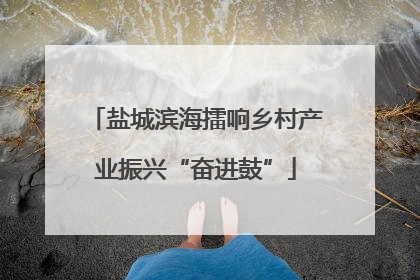 盐城滨海擂响乡村产业振兴“奋进鼓”