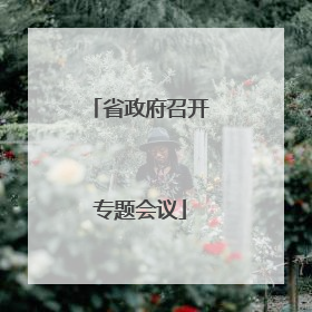 省政府召开专题会议