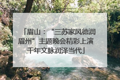 眉山：“三苏家风德润眉州”主题晚会精彩上演千年文脉润泽当代