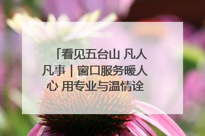 看见五台山 凡人凡事｜窗口服务暖人心 用专业与温情诠释责任担当