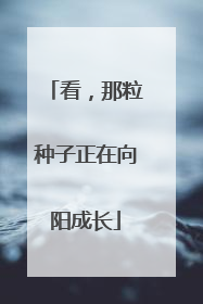 看，那粒种子正在向阳成长
