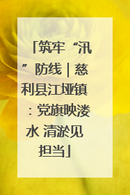 筑牢“汛”防线｜慈利县江垭镇：党旗映溇水 清淤见担当