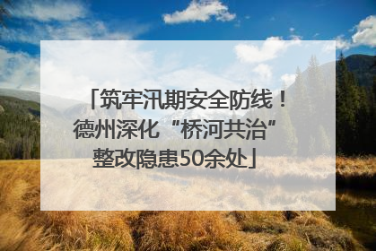 筑牢汛期安全防线！德州深化“桥河共治”整改隐患50余处