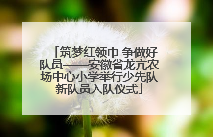 筑梦红领巾 争做好队员——安徽省龙亢农场中心小学举行少先队新队员入队仪式