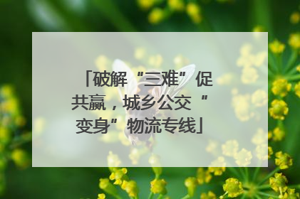破解“三难”促共赢，城乡公交“变身”物流专线
