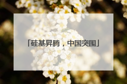 硅基昇腾，中国突围