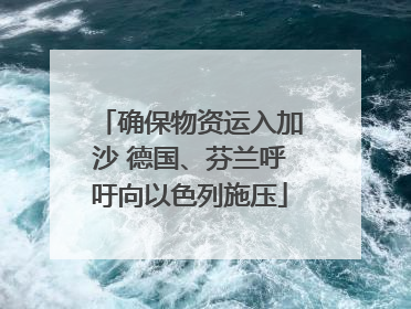 确保物资运入加沙 德国、芬兰呼吁向以色列施压