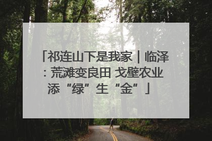 祁连山下是我家｜临泽：荒滩变良田 戈壁农业添“绿”生“金”