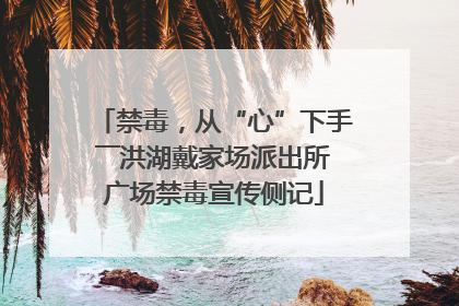 禁毒，从“心”下手――洪湖戴家场派出所广场禁毒宣传侧记