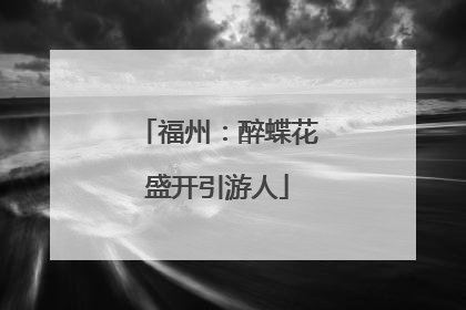 福州：醉蝶花盛开引游人