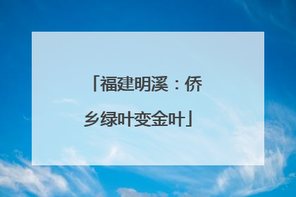 福建明溪：侨乡绿叶变金叶