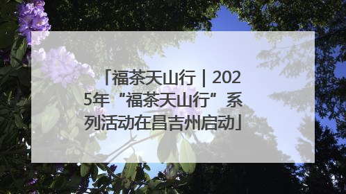 福茶天山行｜2025年“福茶天山行”系列活动在昌吉州启动