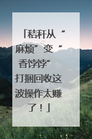 秸秆从“麻烦”变“香饽饽” 打捆回收这波操作太赚了！