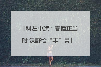 科左中旗：春播正当时 沃野绘“丰”景