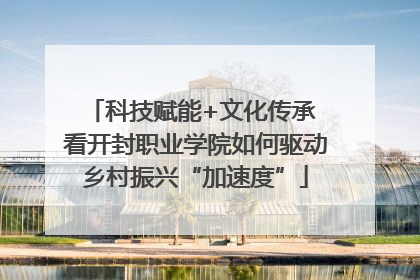 科技赋能+文化传承 看开封职业学院如何驱动乡村振兴“加速度”