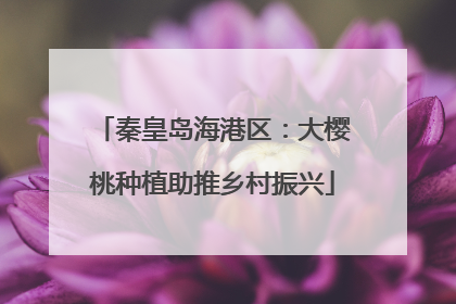 秦皇岛海港区：大樱桃种植助推乡村振兴
