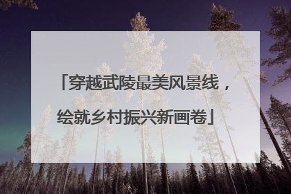 穿越武陵最美风景线，绘就乡村振兴新画卷