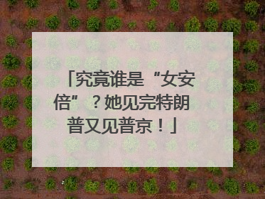 究竟谁是“女安倍”？她见完特朗普又见普京！