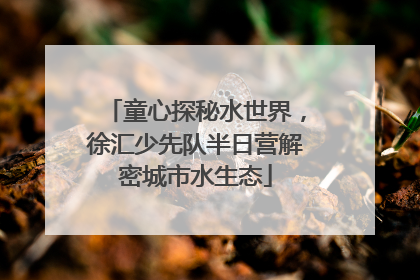 童心探秘水世界，徐汇少先队半日营解密城市水生态