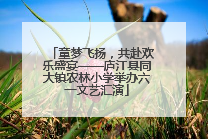 童梦飞扬，共赴欢乐盛宴——庐江县同大镇农林小学举办六一文艺汇演