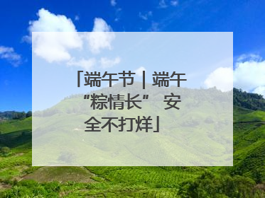 端午节｜端午“粽情长” 安全不打烊