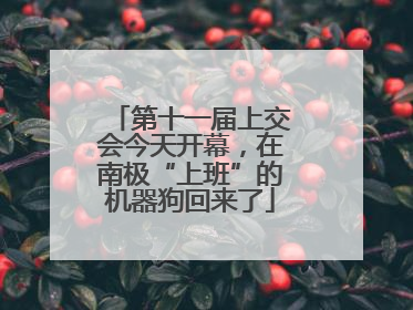 第十一届上交会今天开幕，在南极“上班”的机器狗回来了