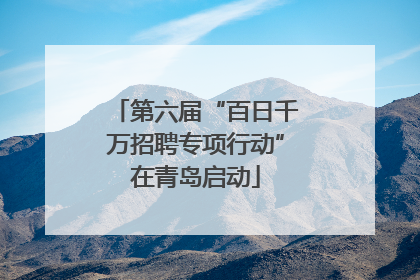 第六届“百日千万招聘专项行动”在青岛启动