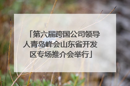第六届跨国公司领导人青岛峰会山东省开发区专场推介会举行