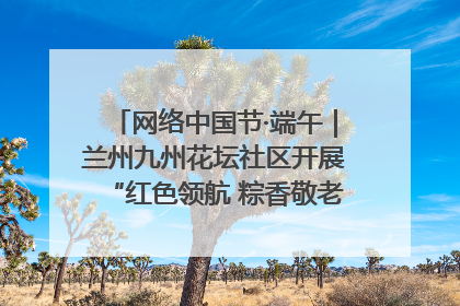 网络中国节·端午｜兰州九州花坛社区开展“红色领航 粽香敬老”端午主题活动