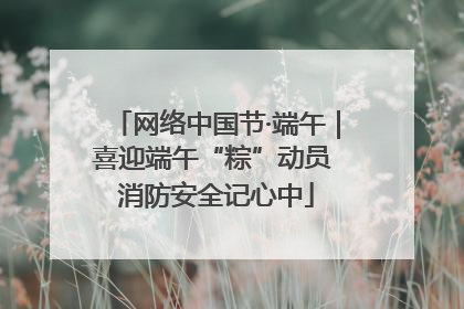 网络中国节·端午｜喜迎端午“粽”动员 消防安全记心中