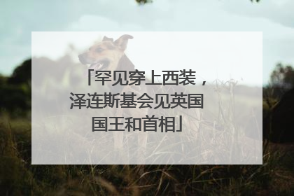 罕见穿上西装，泽连斯基会见英国国王和首相