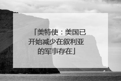 美特使：美国已开始减少在叙利亚的军事存在